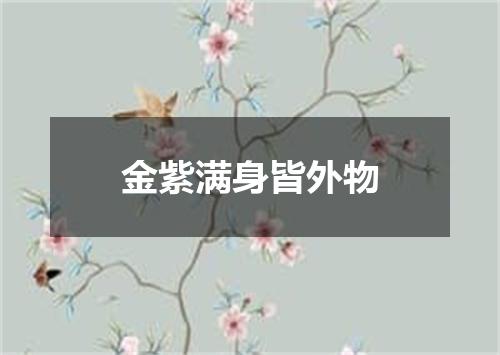 金紫满身皆外物