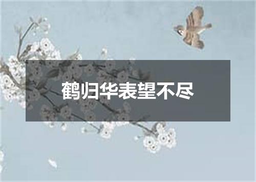 鹤归华表望不尽