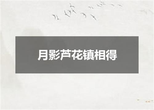 月影芦花镇相得