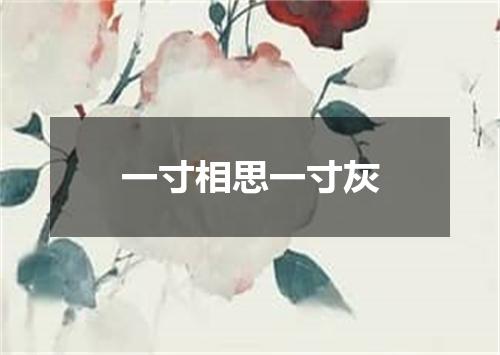 一寸相思一寸灰