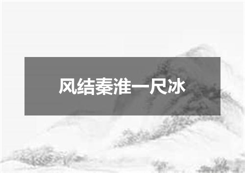 风结秦淮一尺冰