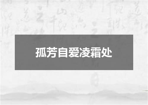 孤芳自爱凌霜处