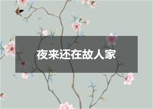 夜来还在故人家