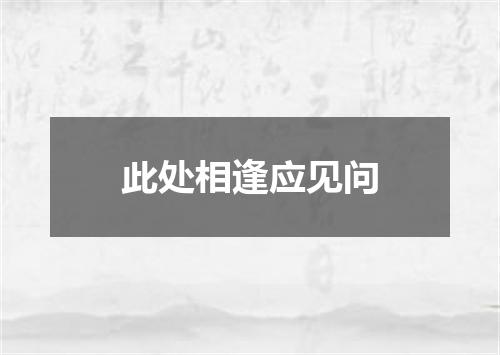 此处相逢应见问