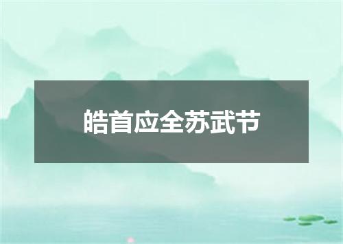 皓首应全苏武节