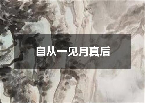 自从一见月真后