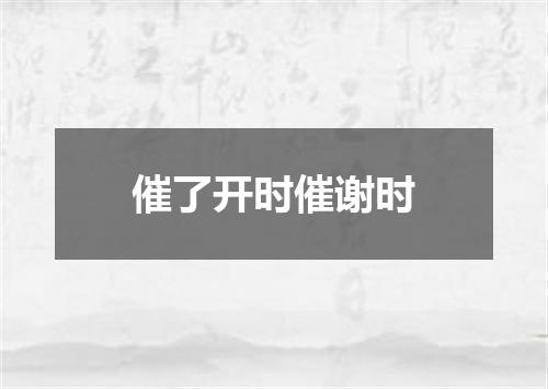 催了开时催谢时