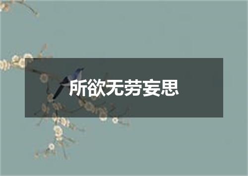 所欲无劳妄思