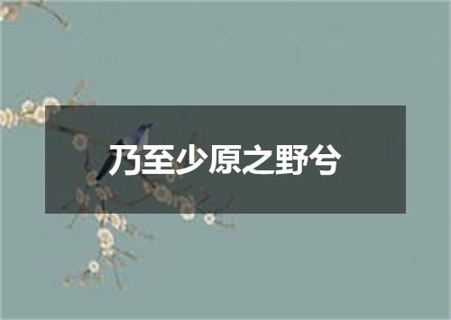 乃至少原之野兮