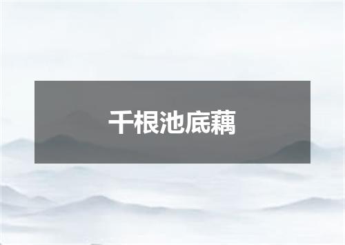 千根池底藕