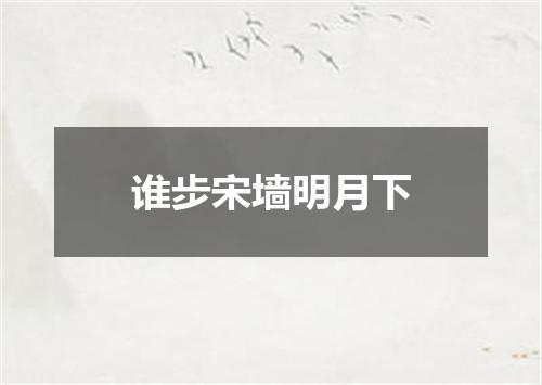 谁步宋墙明月下