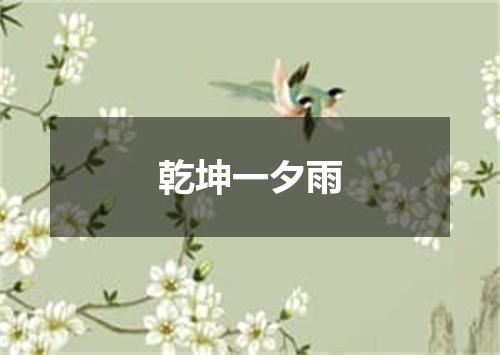 乾坤一夕雨