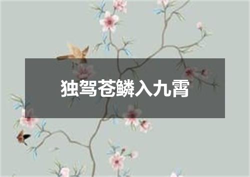 独驾苍鳞入九霄
