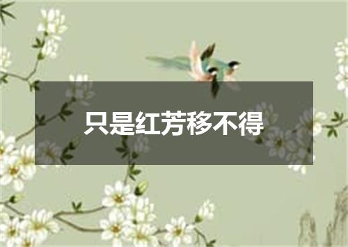 只是红芳移不得