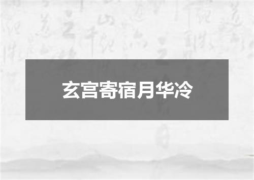 玄宫寄宿月华冷