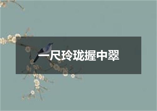 一尺玲珑握中翠