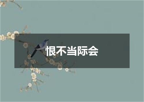 恨不当际会