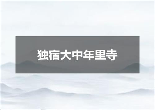 独宿大中年里寺