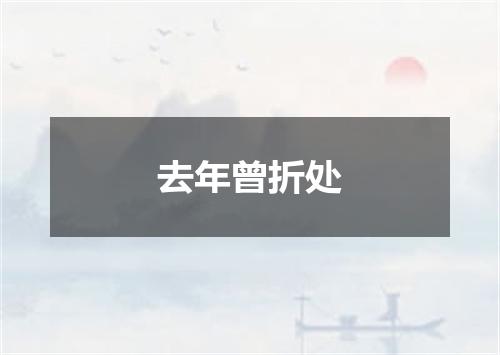 去年曾折处