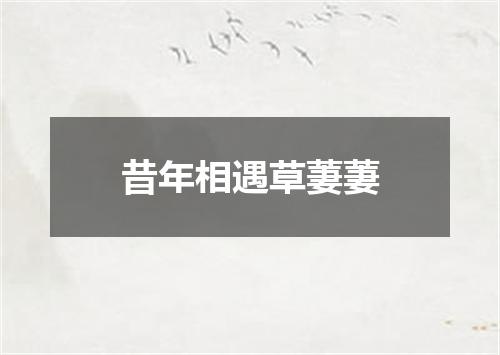 昔年相遇草萋萋