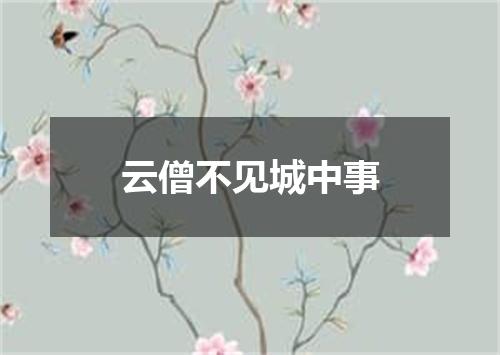 云僧不见城中事