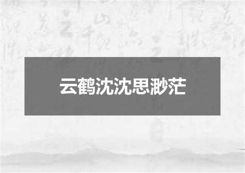 云鹤沈沈思渺茫