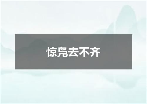 惊凫去不齐