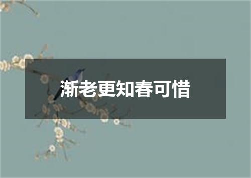 渐老更知春可惜