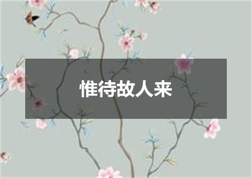 惟待故人来
