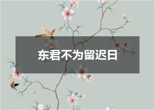 东君不为留迟日