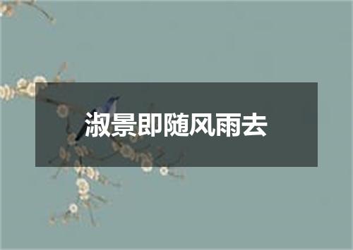 淑景即随风雨去