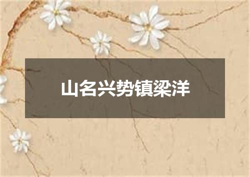 山名兴势镇梁洋