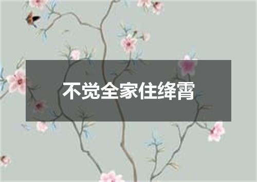 不觉全家住绛霄