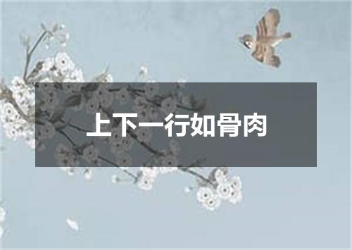 上下一行如骨肉