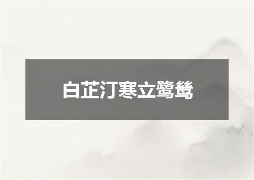 白芷汀寒立鹭鸶