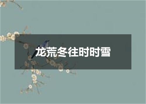 龙荒冬往时时雪