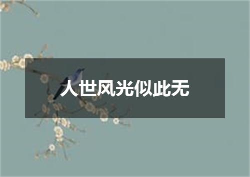 人世风光似此无