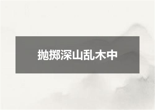 抛掷深山乱木中