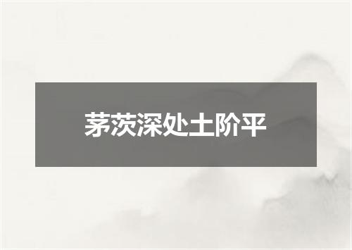 茅茨深处土阶平