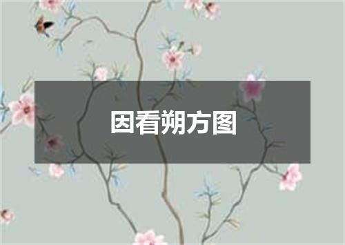 因看朔方图
