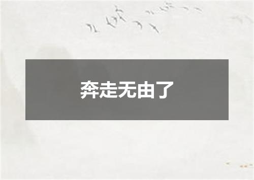 奔走无由了