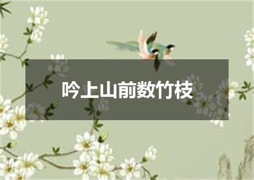 吟上山前数竹枝