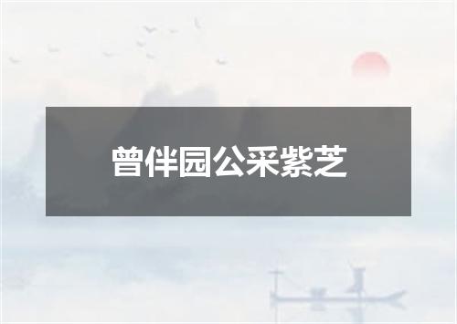 曾伴园公采紫芝