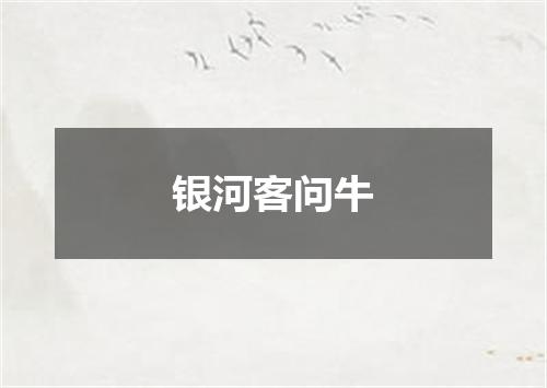 银河客问牛