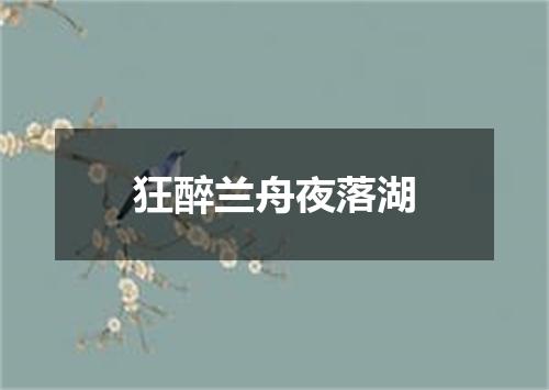 狂醉兰舟夜落湖