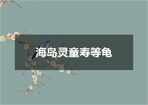 海岛灵童寿等龟