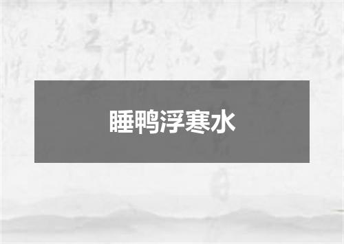 睡鸭浮寒水