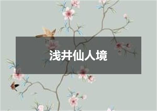 浅井仙人境