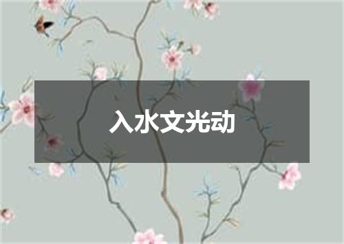 入水文光动
