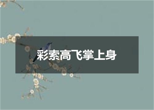 彩索高飞掌上身